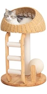 Amazon | なになにLife ＼クッション入りベッド／ キャットタワー